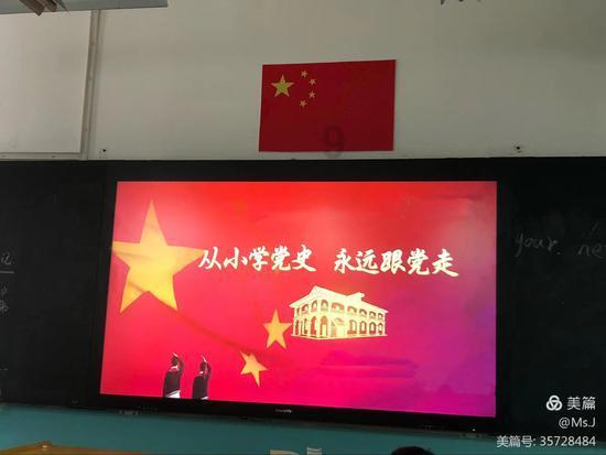拯救小萌虎